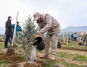 “Yaşıl dünya naminə həmrəylik ili”ndə ağacəkmə aksiyaları davam edir