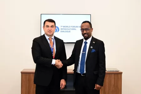 Azərbaycan və Sudan arasında mədəniyyət sahəsində əməkdaşlıq müzakirə edilib